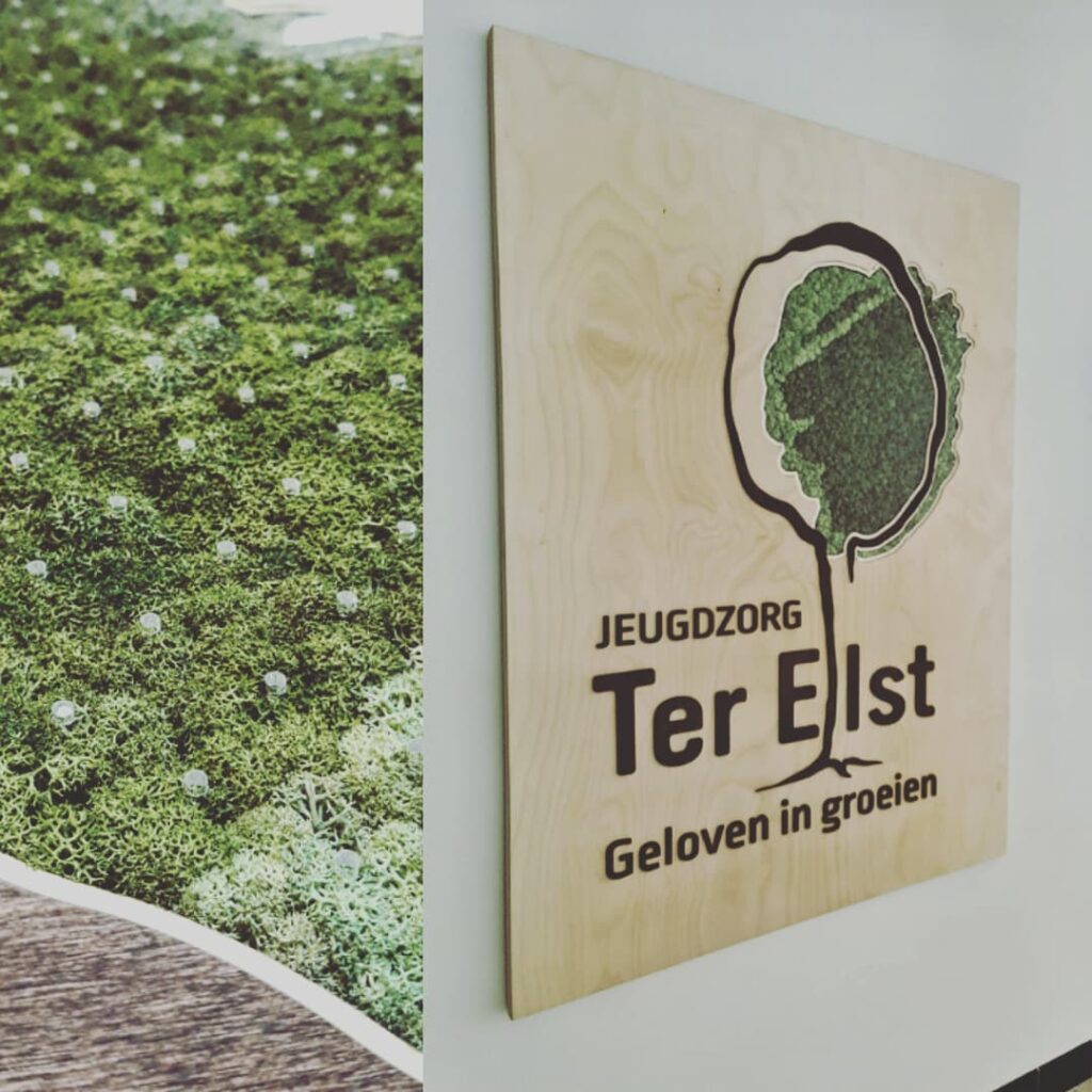 Een foto van het logo voor Jeugdzorg Ter Elst in hout met de kruin van de boom in mos